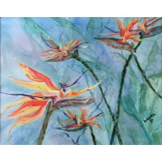 Bird of Paradise Note Cards